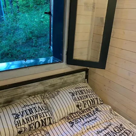 Off Mode - Erdei Fahaz A Toparton * Komló