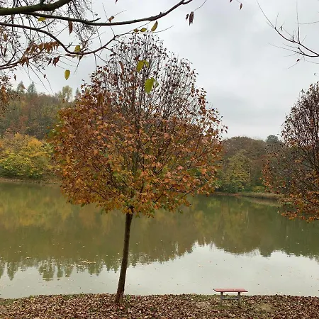 Off Mode - Erdei Fahaz A Toparton Daire Komló