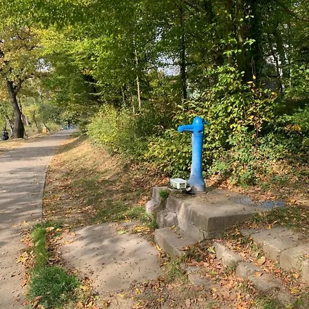 Off Mode - Erdei Fahaz A Toparton