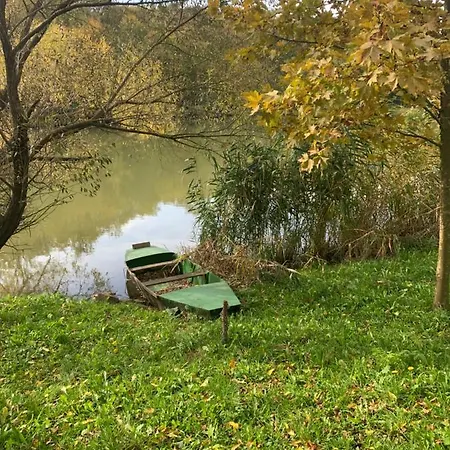 Off Mode - Erdei Fahaz A Toparton Daire