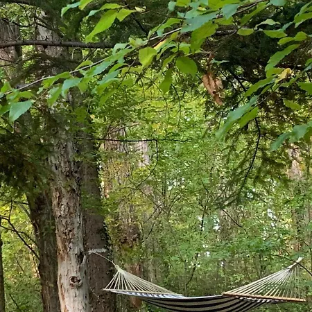 Off Mode - Erdei Fahaz A Toparton