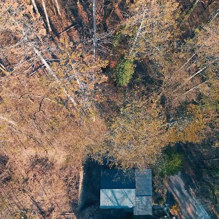 Off Mode - Erdei Fahaz A Toparton *