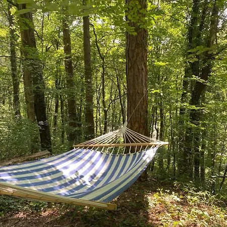 Daire Off Mode - Erdei Fahaz A Toparton Komló