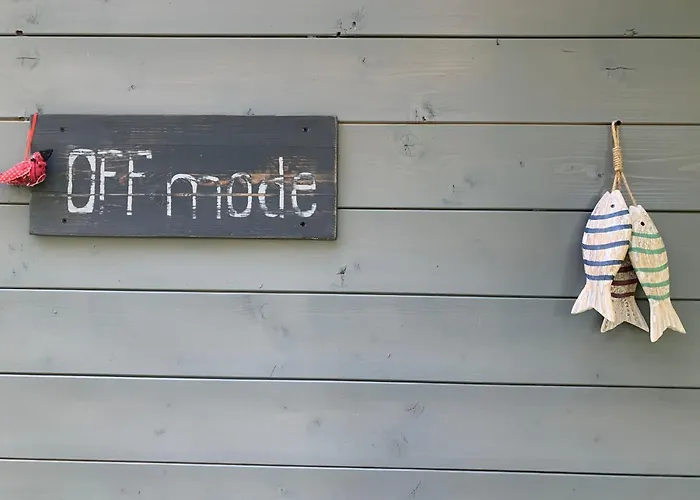 Off Mode - Erdei Fahaz A Toparton * Komlo